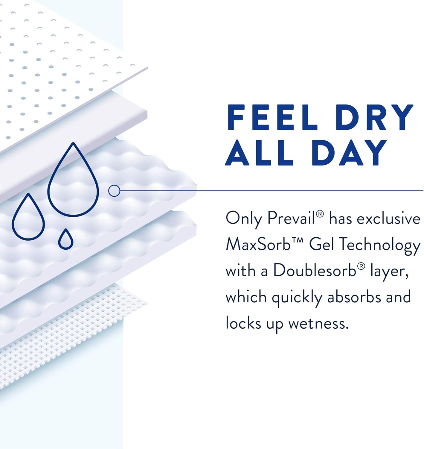 Prevail® Daily Max Underwear