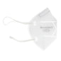 Honeywell DF300 N95 Masks